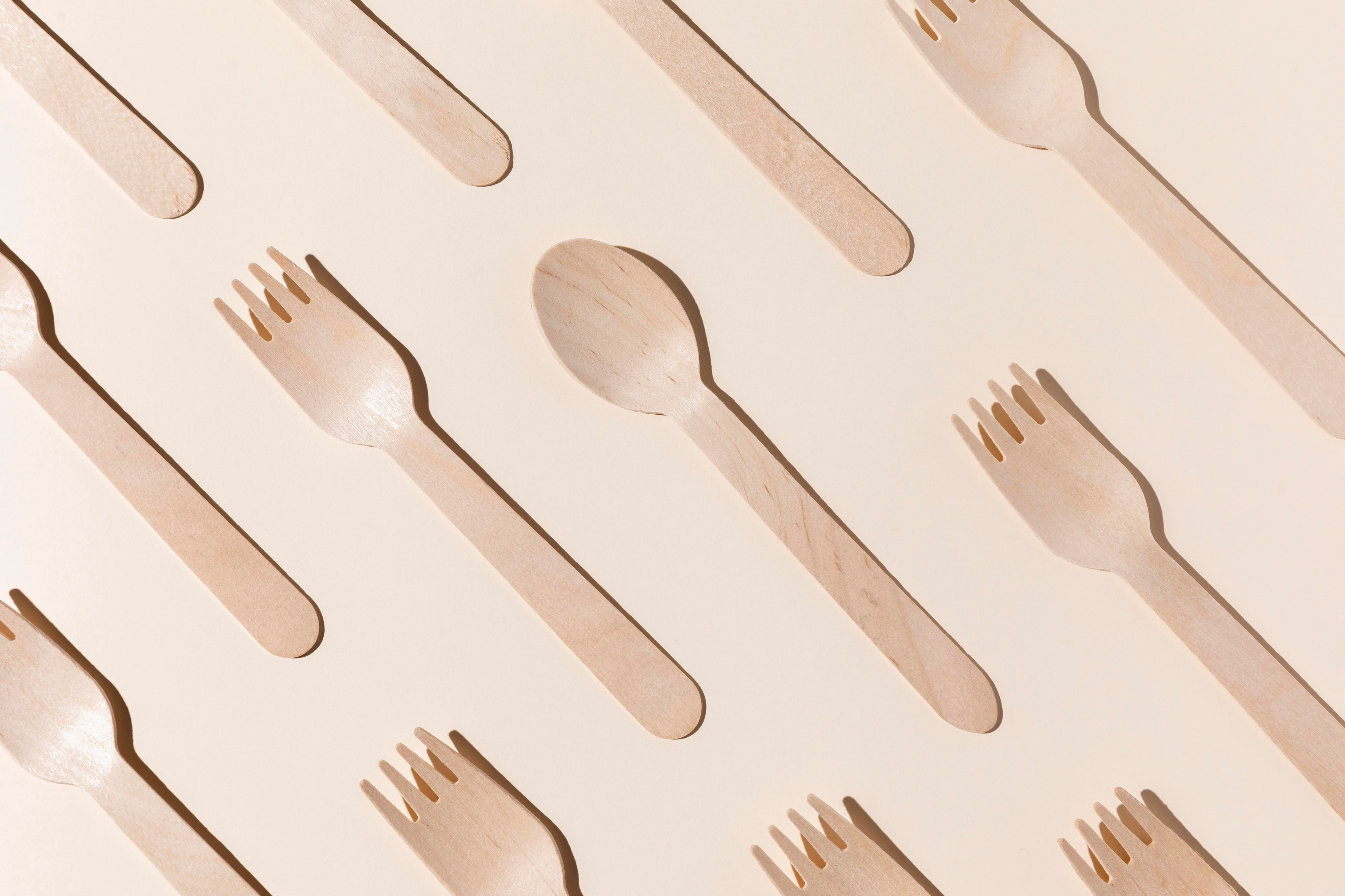 bio cardboard forks spoons